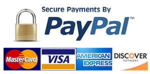 Pay into Your Secure Paypal Account